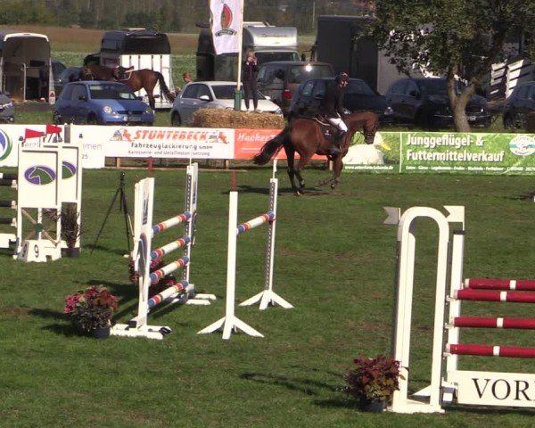 Reitturnier Crivitz 2024