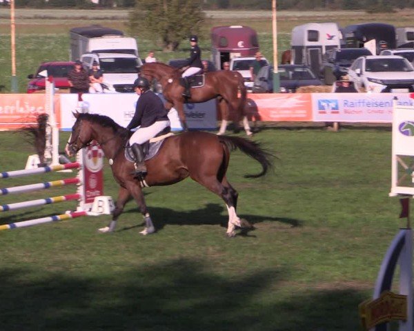 Reitturnier Crivitz 2024