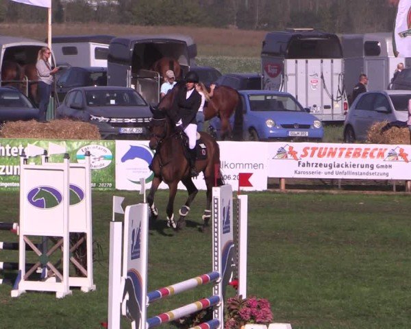 Reitturnier Crivitz 2024