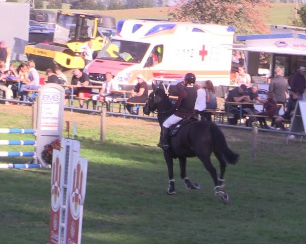 Reitturnier Crivitz 2024