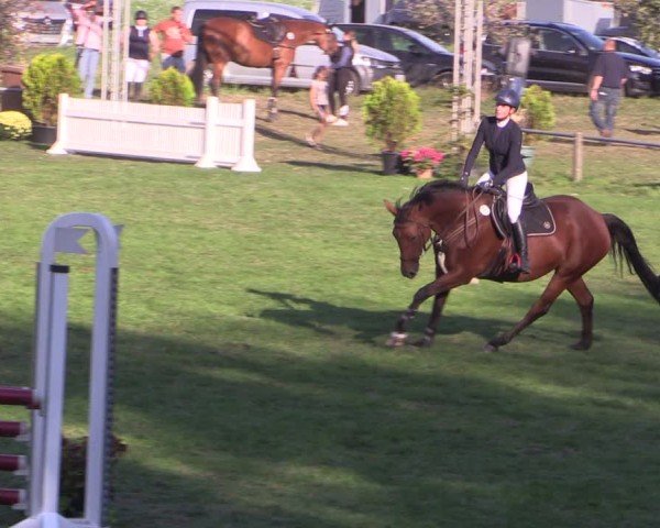 Reitturnier Crivitz 2024