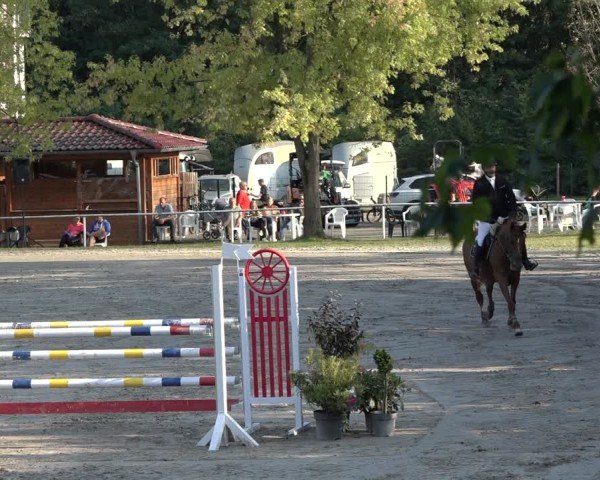 Reitturnier Richelsdorf 2024