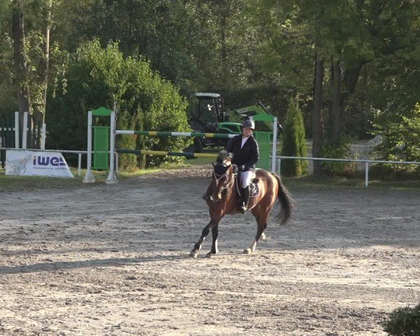 Reitturnier Richelsdorf 2024