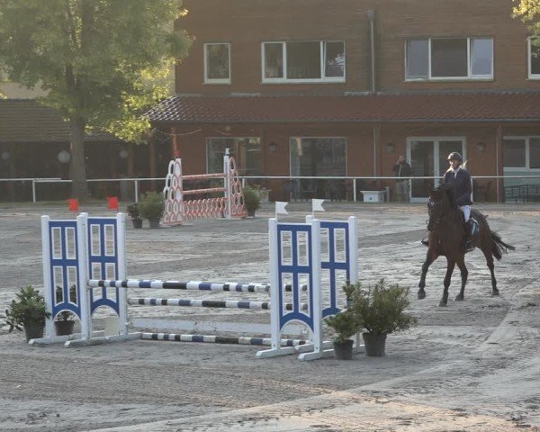 Reitturnier Richelsdorf 2024