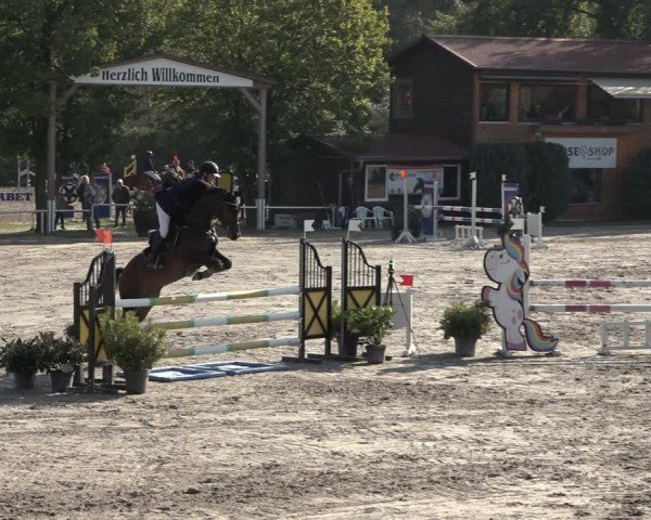 Reitturnier Richelsdorf 2024
