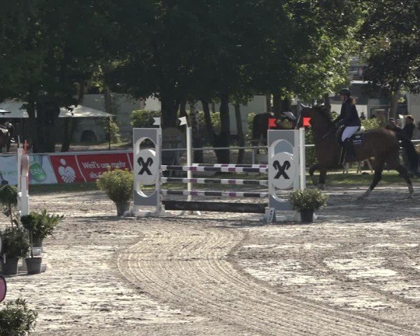 Reitturnier Richelsdorf 2024