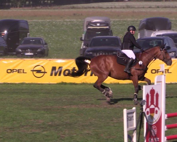 Reitturnier Crivitz 2024