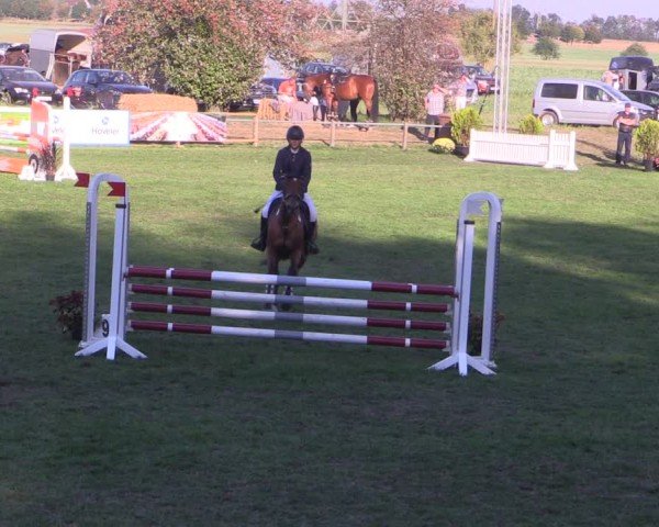 Reitturnier Crivitz 2024