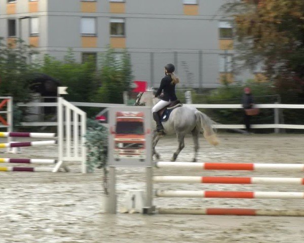 Reitturnier Bregenz 2024