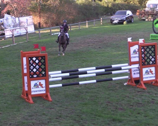Reitturnier Crivitz 2024
