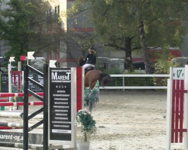 Reitturnier Bregenz 2024