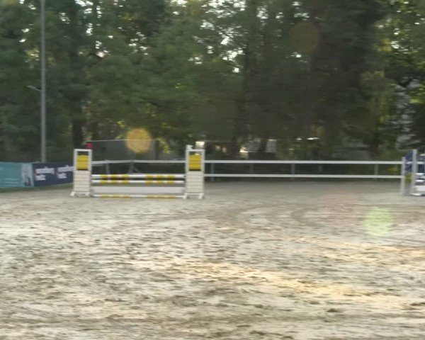 Reitturnier Bregenz 2024