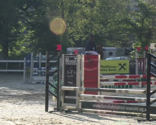 Reitturnier Bregenz 2024