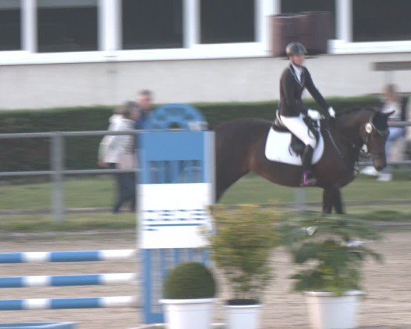 Reitturnier Langenfeld - Gut Langfort 2024