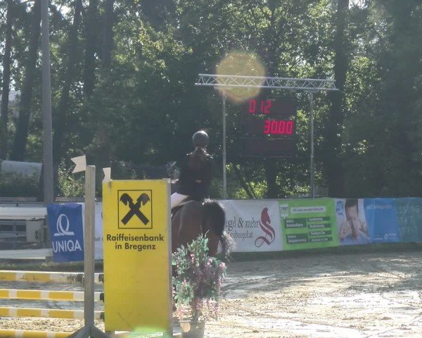 Reitturnier Bregenz 2024
