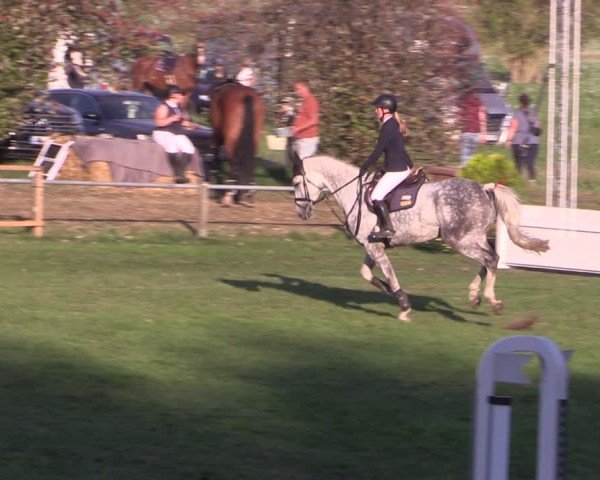Reitturnier Crivitz 2024
