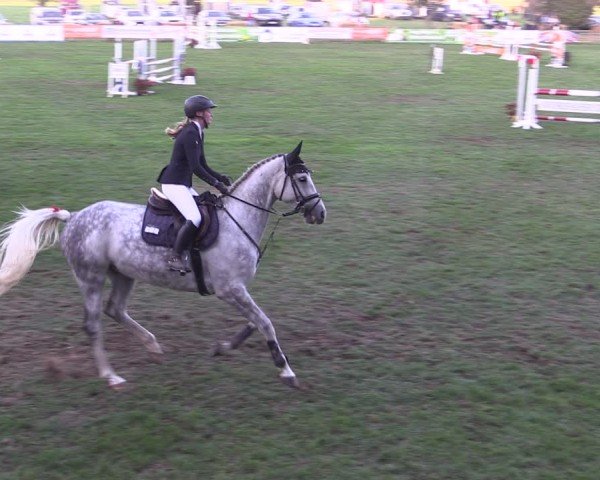 Reitturnier Crivitz 2024