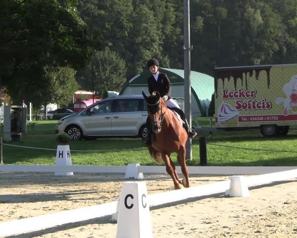 Reitturnier Seelitz 2024