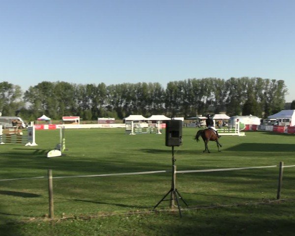 Reitturnier Jüterbog / Werder 2024