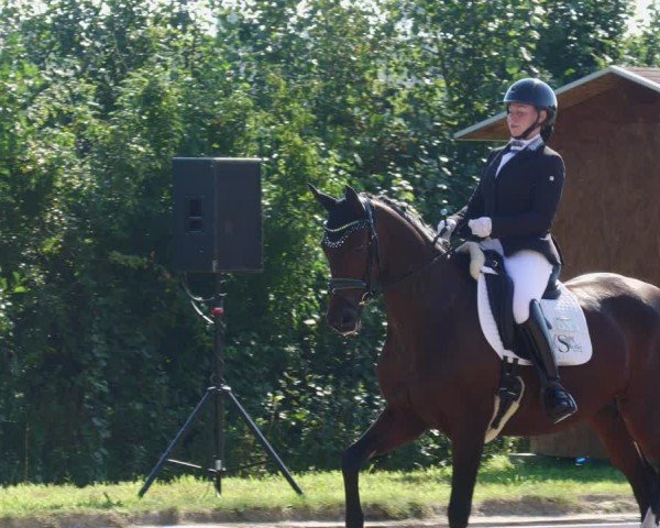 Reitturnier Rodgau-Weiskirchen 2024