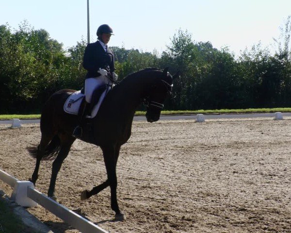 Reitturnier Rodgau-Weiskirchen 2024