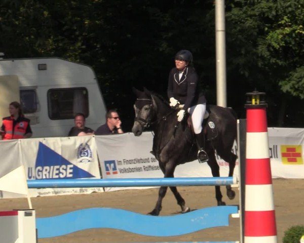 Reitturnier Buchenhof-Ibbenbüren 2024