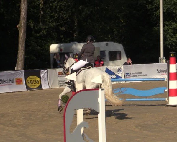 Reitturnier Buchenhof-Ibbenbüren 2024
