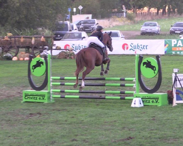Reitturnier Crivitz 2024