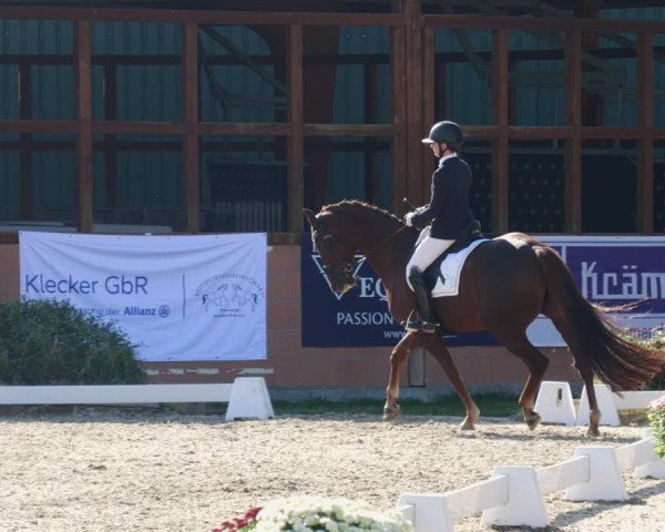 Reitturnier Rodgau-Weiskirchen 2024