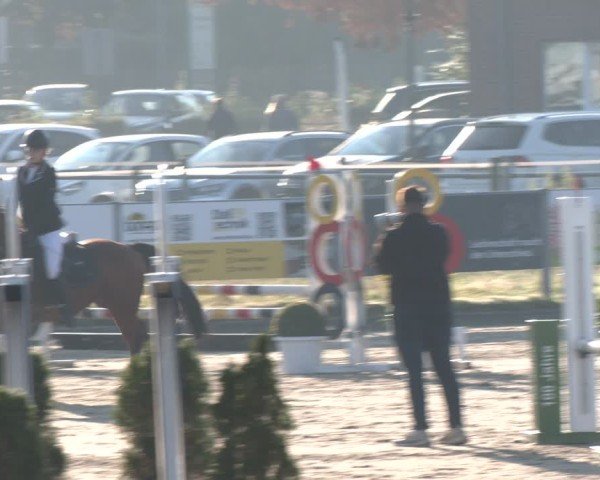 Reitturnier Langenfeld - Gut Langfort 2024