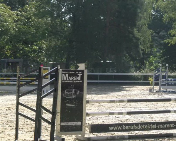Reitturnier Bregenz 2024