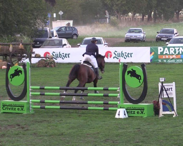 Reitturnier Crivitz 2024