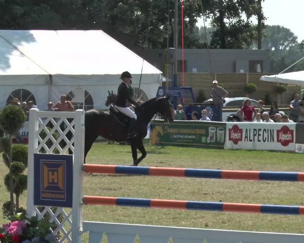 Steinhagener Reitertage 2013