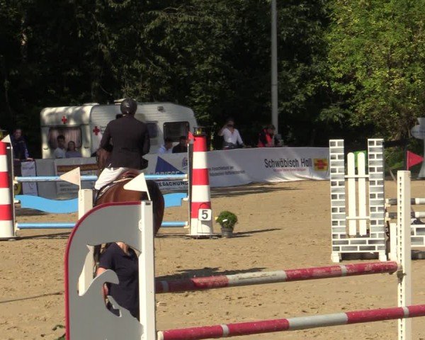 Reitturnier Buchenhof-Ibbenbüren 2024