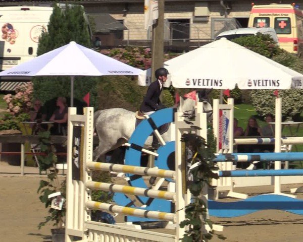 Reitturnier Buchenhof-Ibbenbüren 2024
