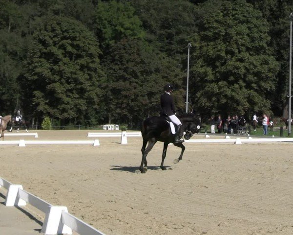 Reitturnier Seelitz 2024