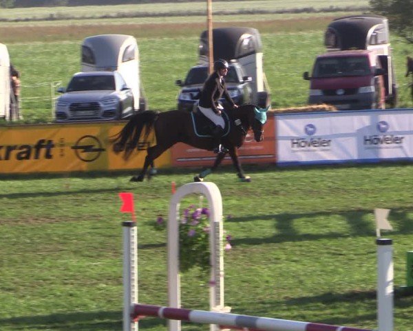 Reitturnier Crivitz 2024