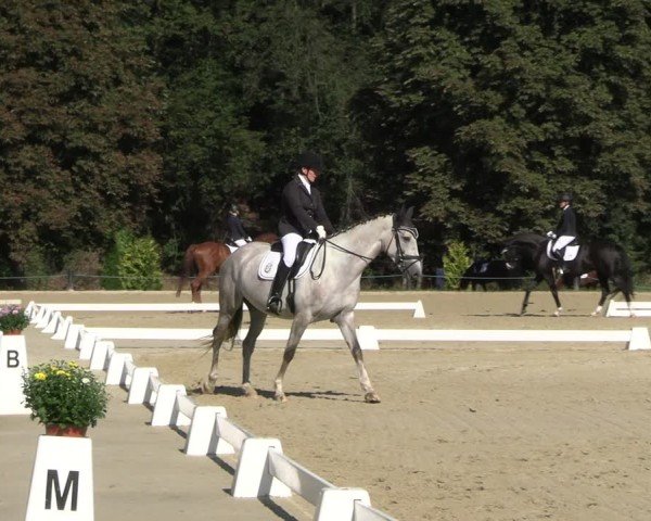 Reitturnier Seelitz 2024