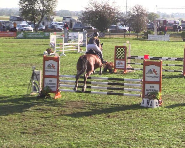 Reitturnier Crivitz 2024