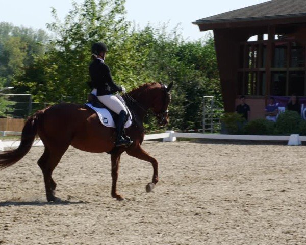 Reitturnier Rodgau-Weiskirchen 2024