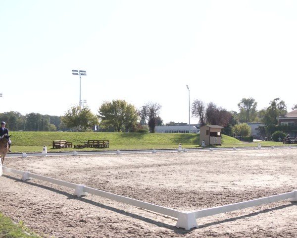 Reitturnier Langenfeld - Gut Langfort 2024