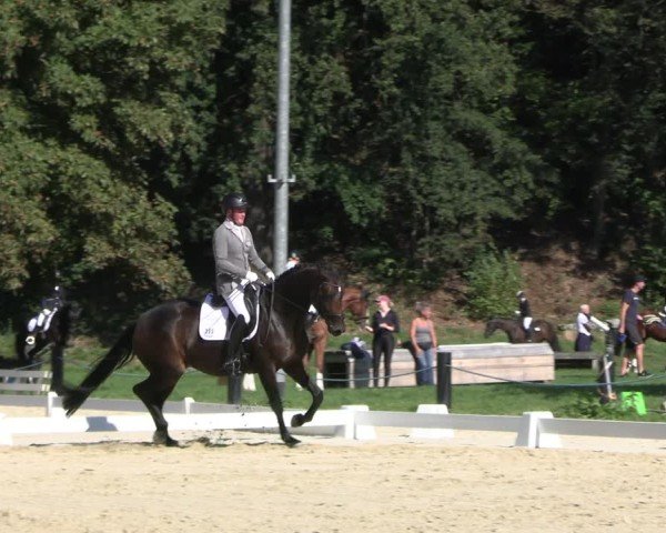 Reitturnier Seelitz 2024
