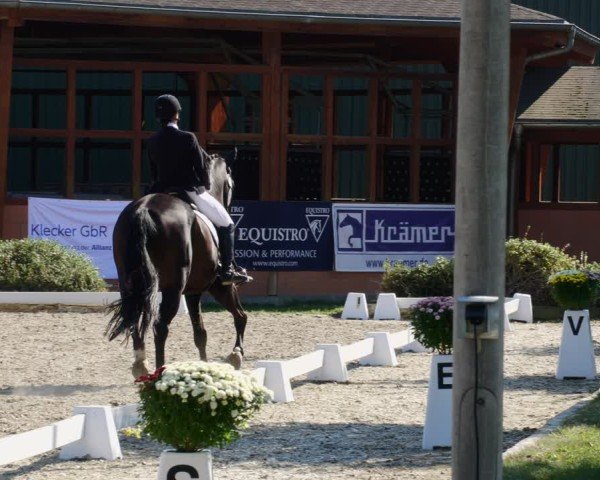 Reitturnier Rodgau-Weiskirchen 2024