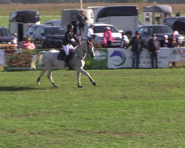 Reitturnier Crivitz 2024