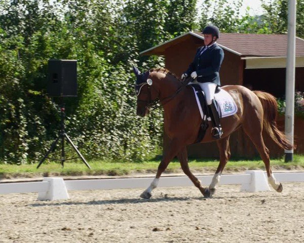 Reitturnier Rodgau-Weiskirchen 2024