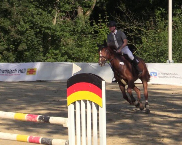 Reitturnier Buchenhof-Ibbenbüren 2024