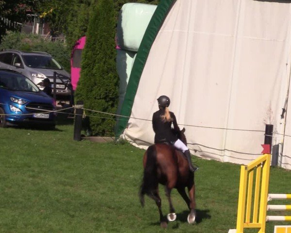 Reitturnier Seelitz 2024