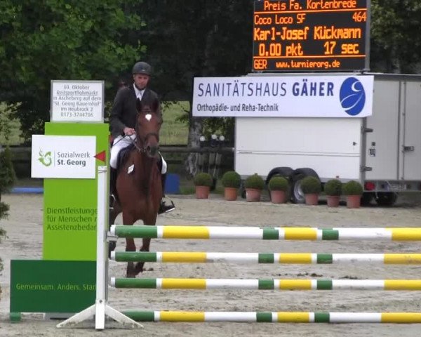 Reit- und Springturnier Münster-Roxel 2013
