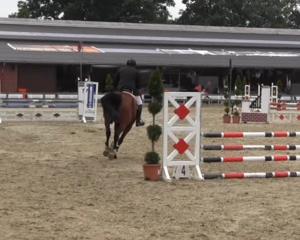 Reit- und Springturnier Münster-Roxel 2013