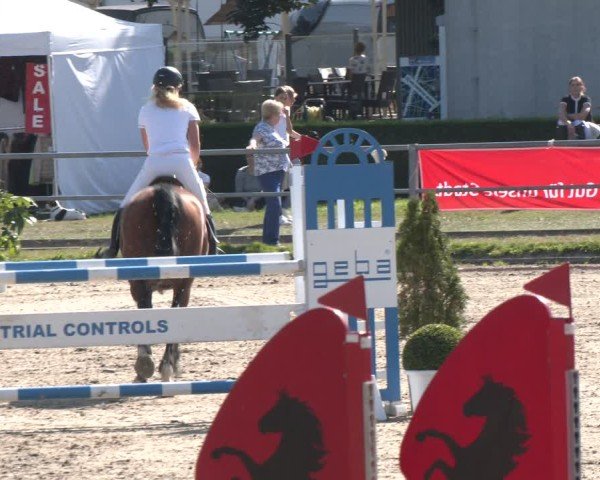 Reitturnier Langenfeld - Gut Langfort 2024